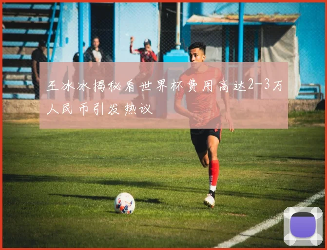 王冰冰揭秘看世界杯费用高达2-3万人民币引发热议