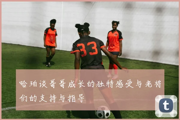 哈珀谈哥哥成长的独特感受与老将们的支持与指导