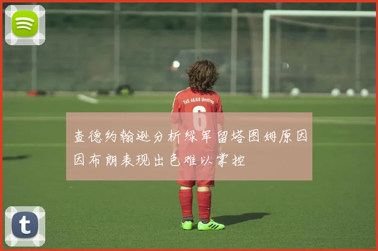 查德约翰逊分析绿军留塔图姆原因因布朗表现出色难以掌控